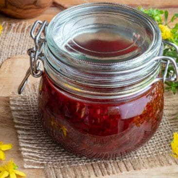 Luna Herbs_Wildkräuter Blog_So machst du aus Johanniskraut das wertvolle Rotöl1