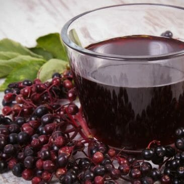 Luna Herbs_Wildkräuter Blog_Holundersaft ohne Zucker2