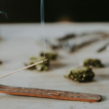 Blog Luna Herbs Wildkräuter_Eine kleine Einführung in das Räuchern