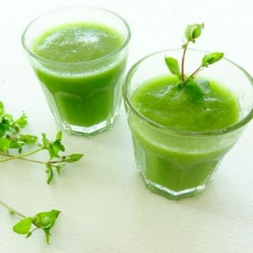 Luna Herbs_Wildkräuter Blog_Rezept Wildkräuter Smoothie mit Vogelmiere​56