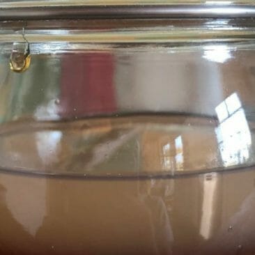 Blog Luna Herbs Wildkräuter_Basis Rezept - Oxymel selber machen