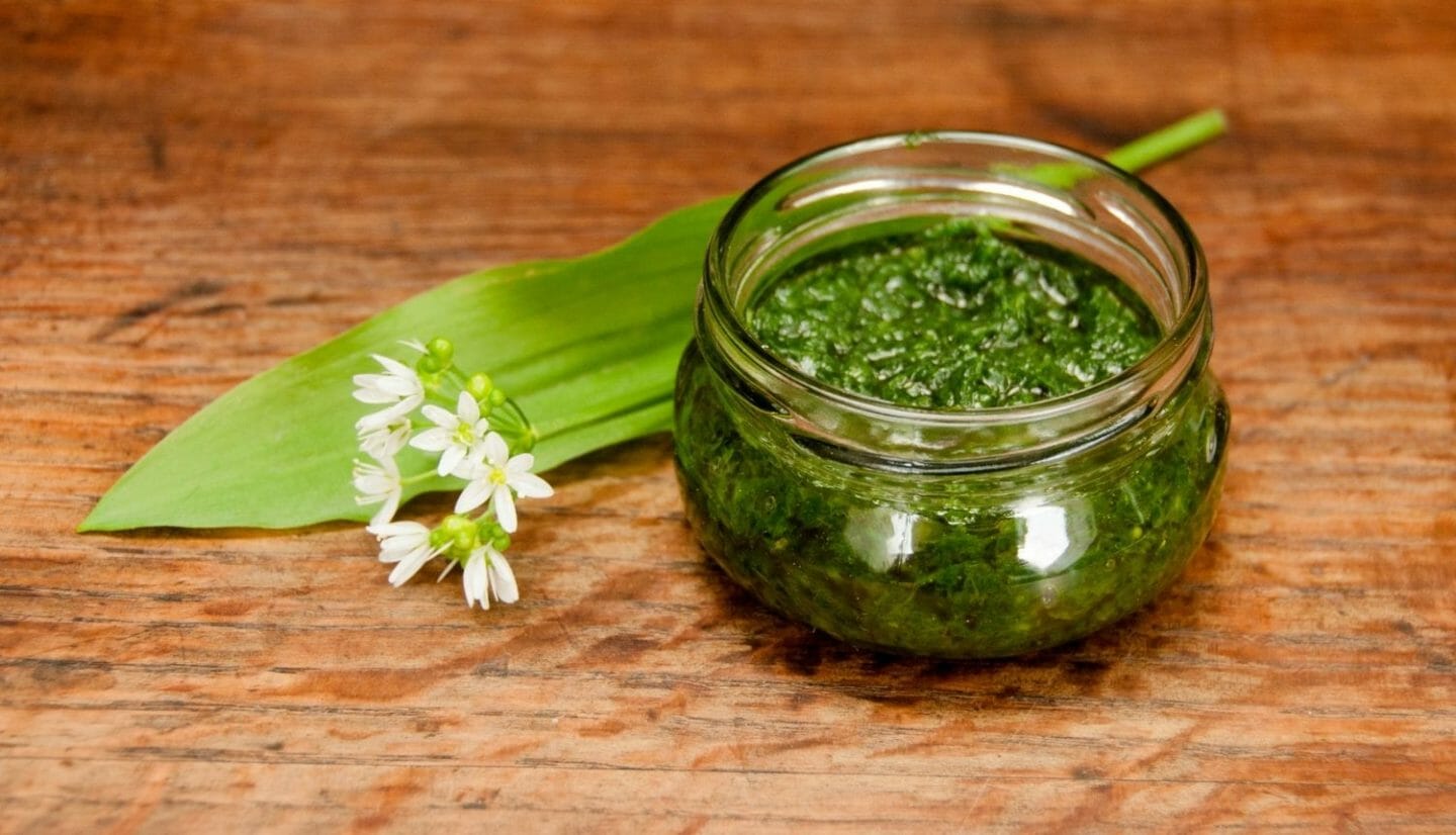 Blog Luna Herbs Wildkräuter_Bärlauch Pesto mit Pilzen und Giersch