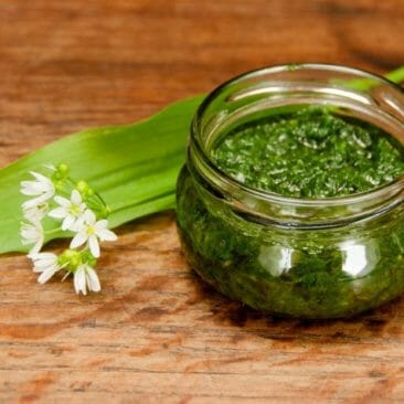 Blog Luna Herbs Wildkräuter_Bärlauch Pesto mit Pilzen und Giersch