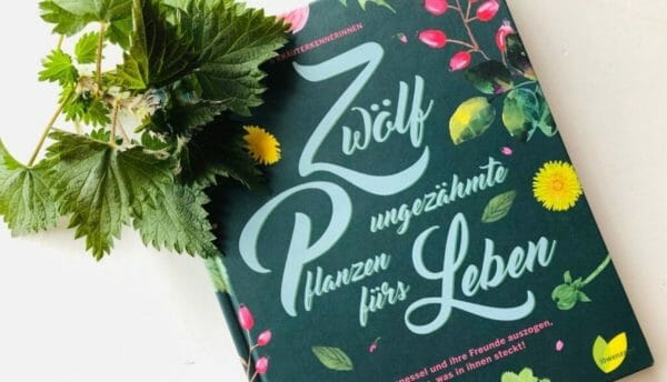 Blog Luna Herbs Wildkräuter_Zwölf ungezähmte Pflanzen fürs Leben