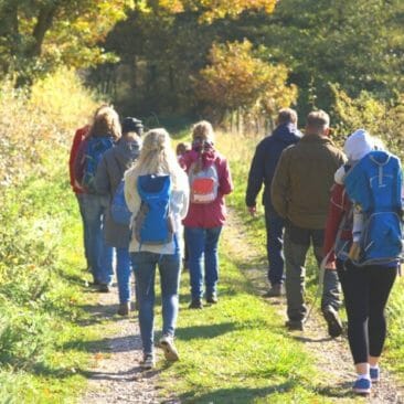 Blog Luna Herbs Wildkräuter_Tipp 3 - Wildkräuter Wanderungen, meine Empfehlungen für dich