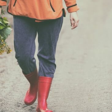Blog Luna Herbs Wildkräuter_5 Gründe, warum du Wildkräuter sammeln solltest