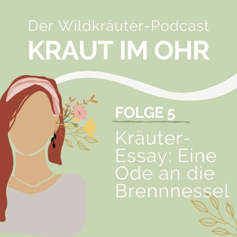 Kraut im Ohr_Folge 5_Brennnessel