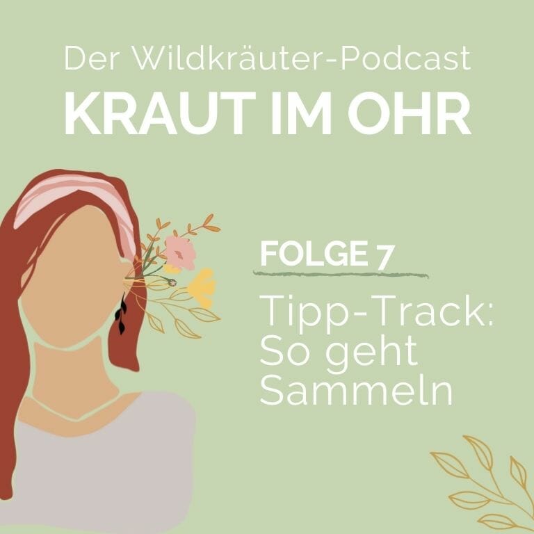 Kraut im ohr_Folge 7_TippTrack_Wildkräuter sammeln