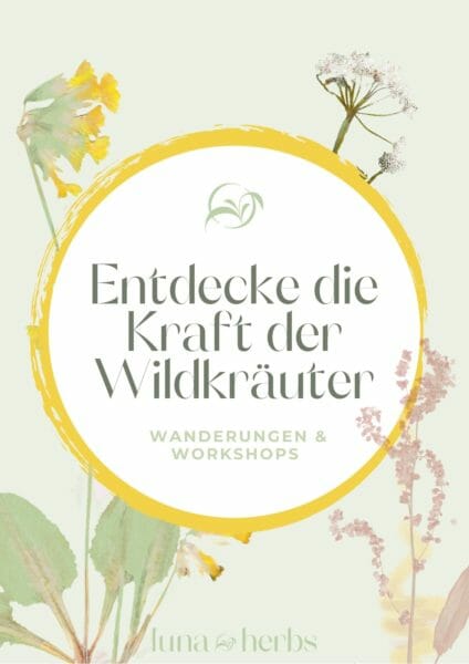 Luna Herbs Wildkräuter Wanderungen und Workshops in der Eifel