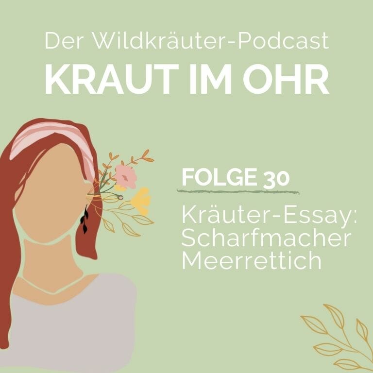 Kraut im Ohr_Folge 30_Kraut-Essay_Scharfmacher Meerrettich