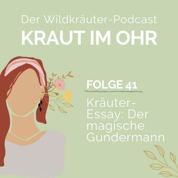 Kraut im Ohr_Folge 41_Kraut-Essay. Wundermann Gundermann
