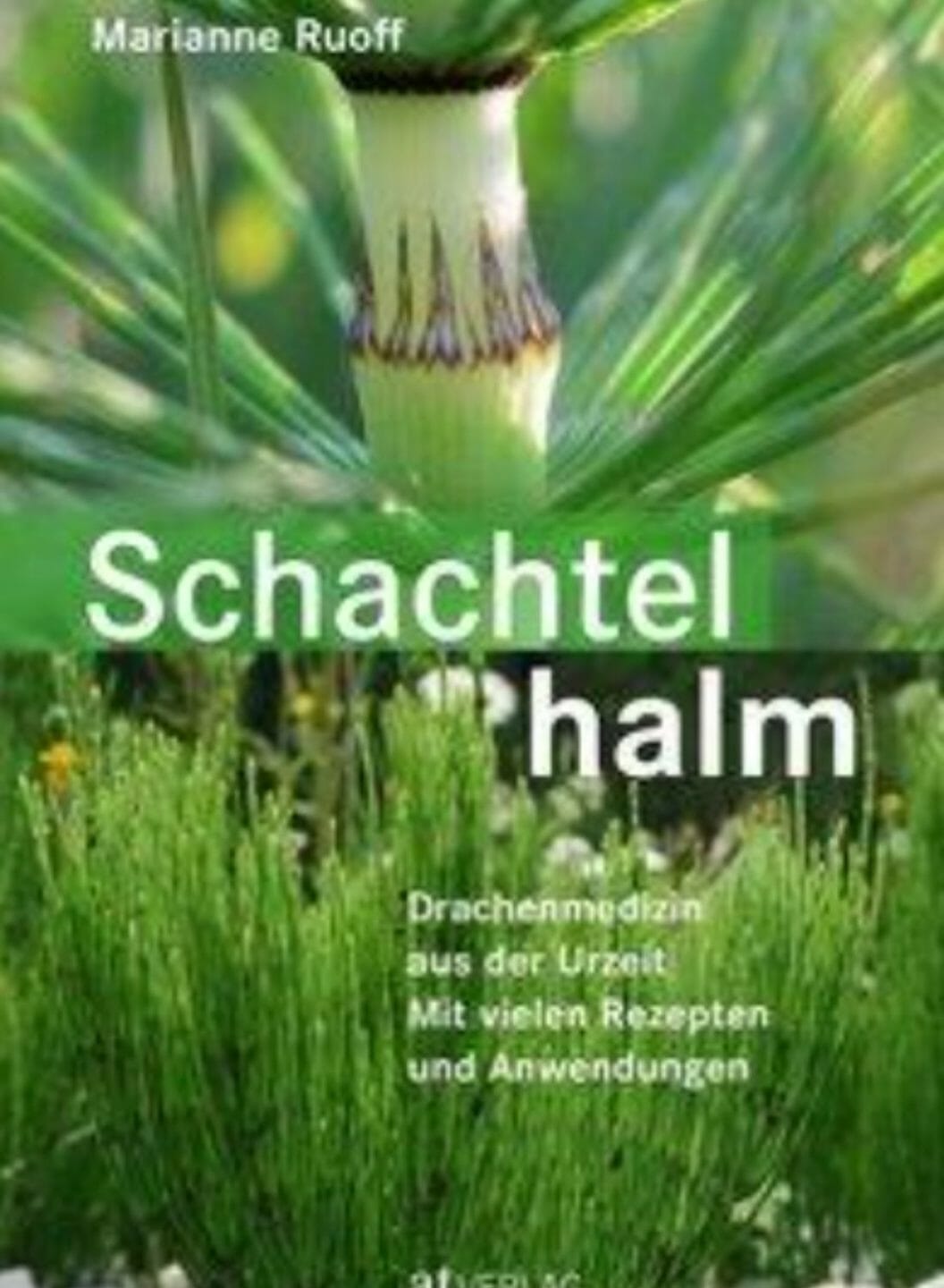 Schachtelhalmgewächse_Marianne Ruoff_LunaHerbs