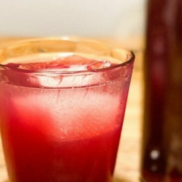 Blog Luna Herbs Wildkräuter_Schlehen Sirup ohne Zucker