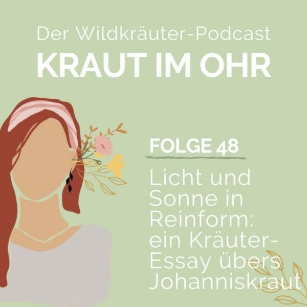 Kraut im Ohr_Folge 48_Kraut-Essay_Sommer mit Johanniskraut