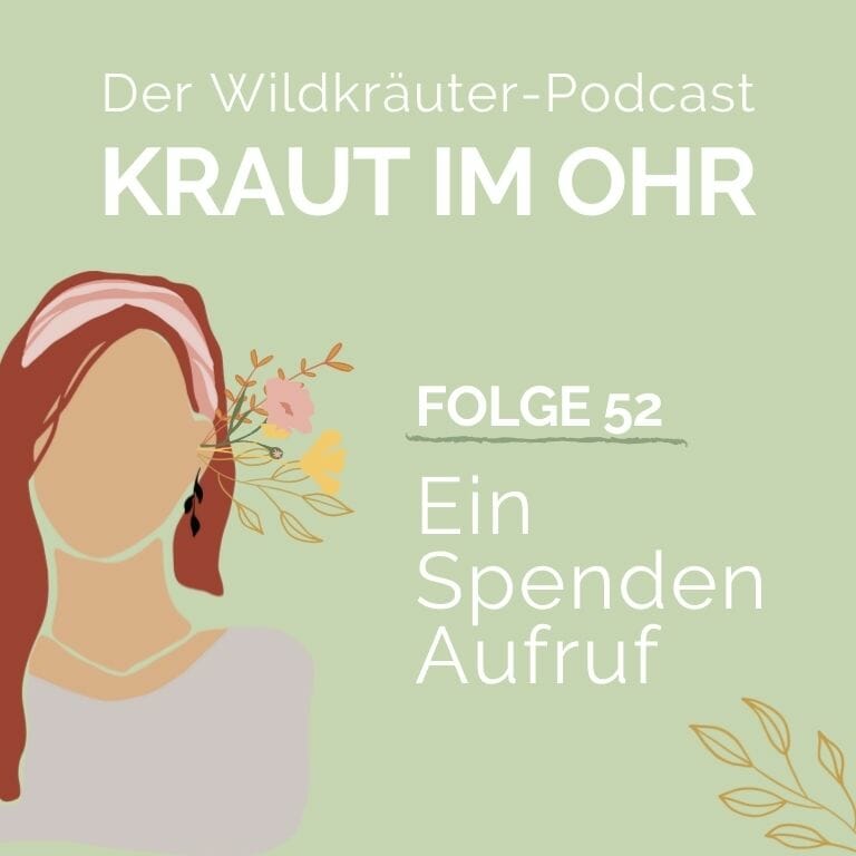 Kraut im Ohr_Folge 52_Ein Spenden-Aufruf für Anna