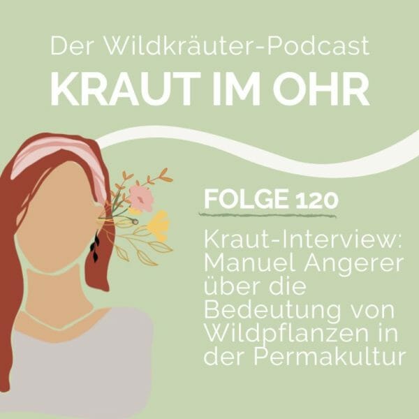 Folge 120_Kraut im Ohr_Kraut Interview_Die Bedeutung von Wildpflanzen in der Permakultur_Interview mit Manuel Angerer