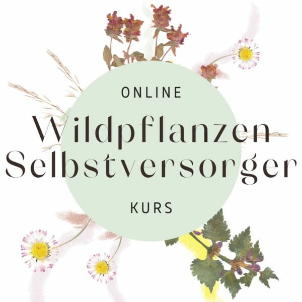 LunaHerbs_Online Kurs_Wildpflanzen Selbstversorger