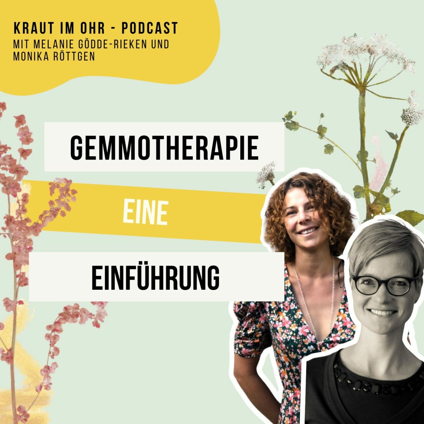 Eine Einführung in die Gemmotherapie