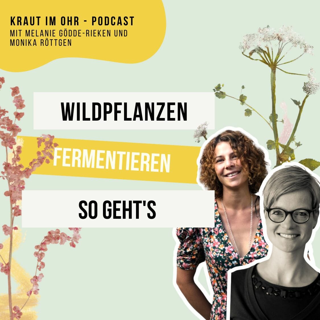 Wildpflanzen fermentieren -s o geht's