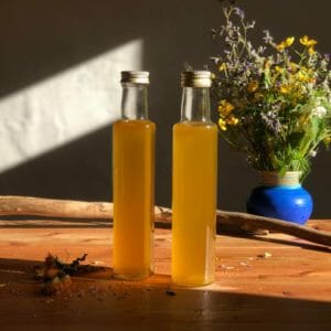 Wildpflanzen Selbstversorgung 2