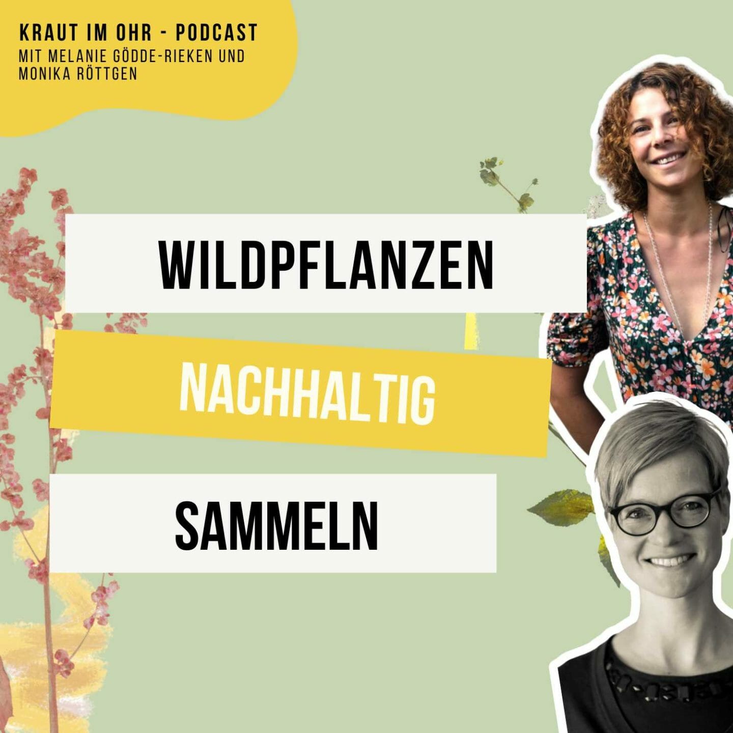 154_Kraut im Ohr_Tipp-Track_Wildpflanzen richtig sammeln -so geht's