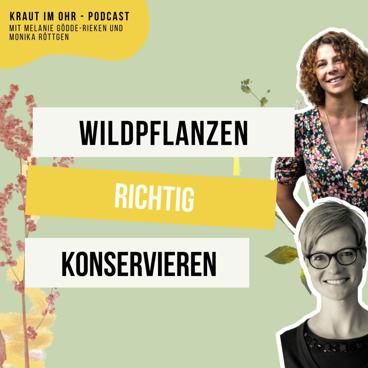 156_Kraut im Ohr_Tipp-Track_Die besten Tipps zum Trocknen von Wildpflanzen