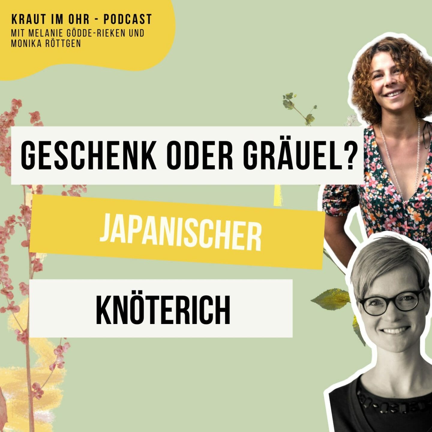 Japanischer Knöterich