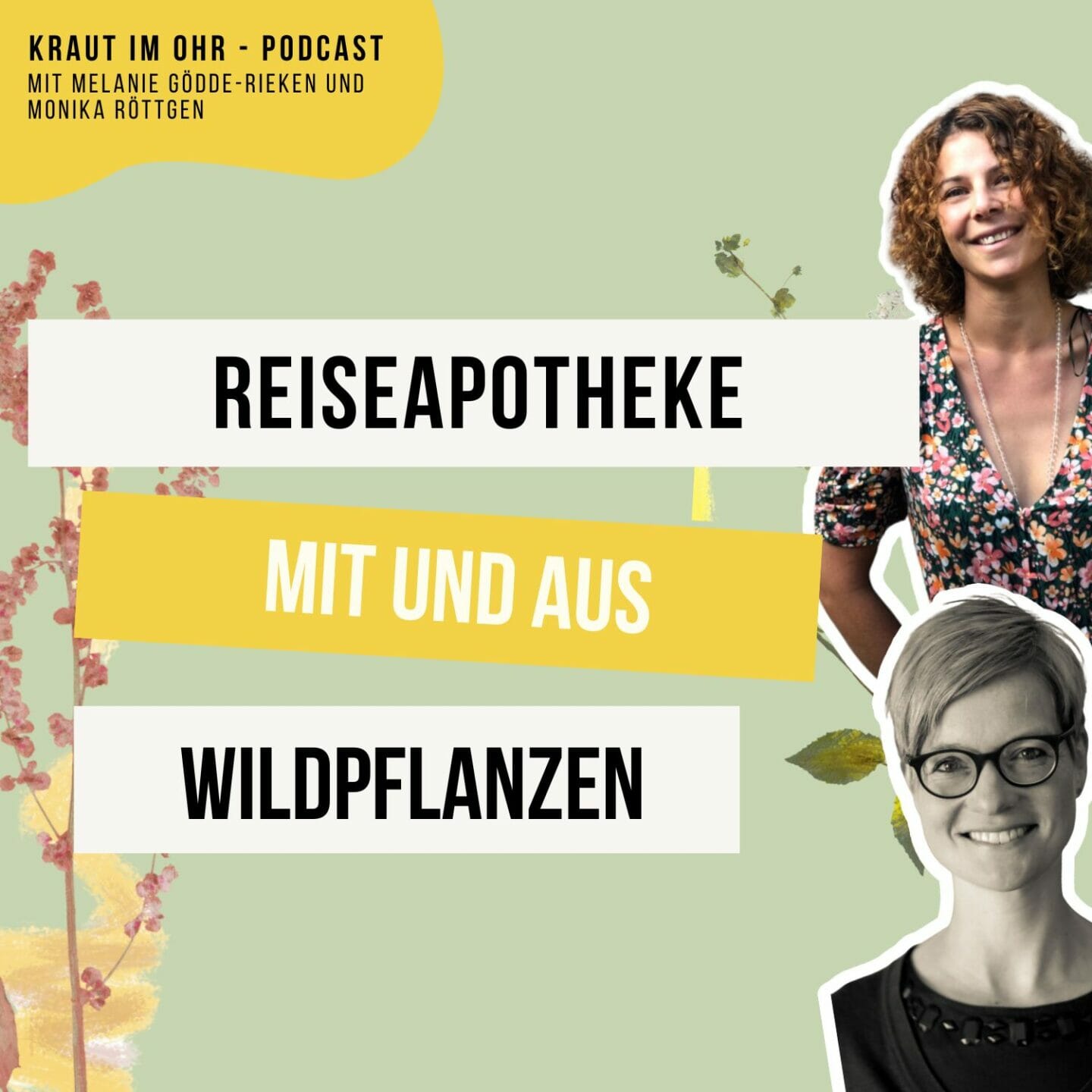 Reiseapotheke mit Wildpflanzen