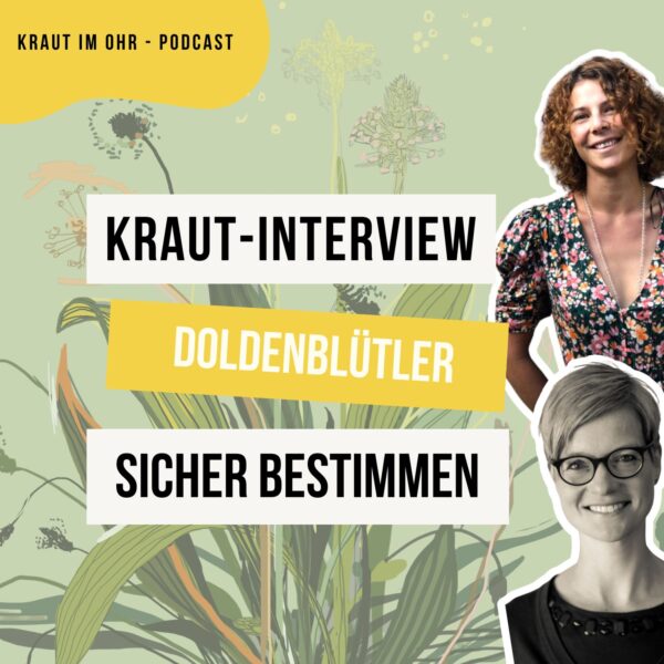 Die trickreichen Doldenblütler