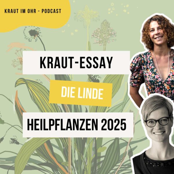 Kraut-Essay: Die Linde - Heilpflanzen des Jahres 2025