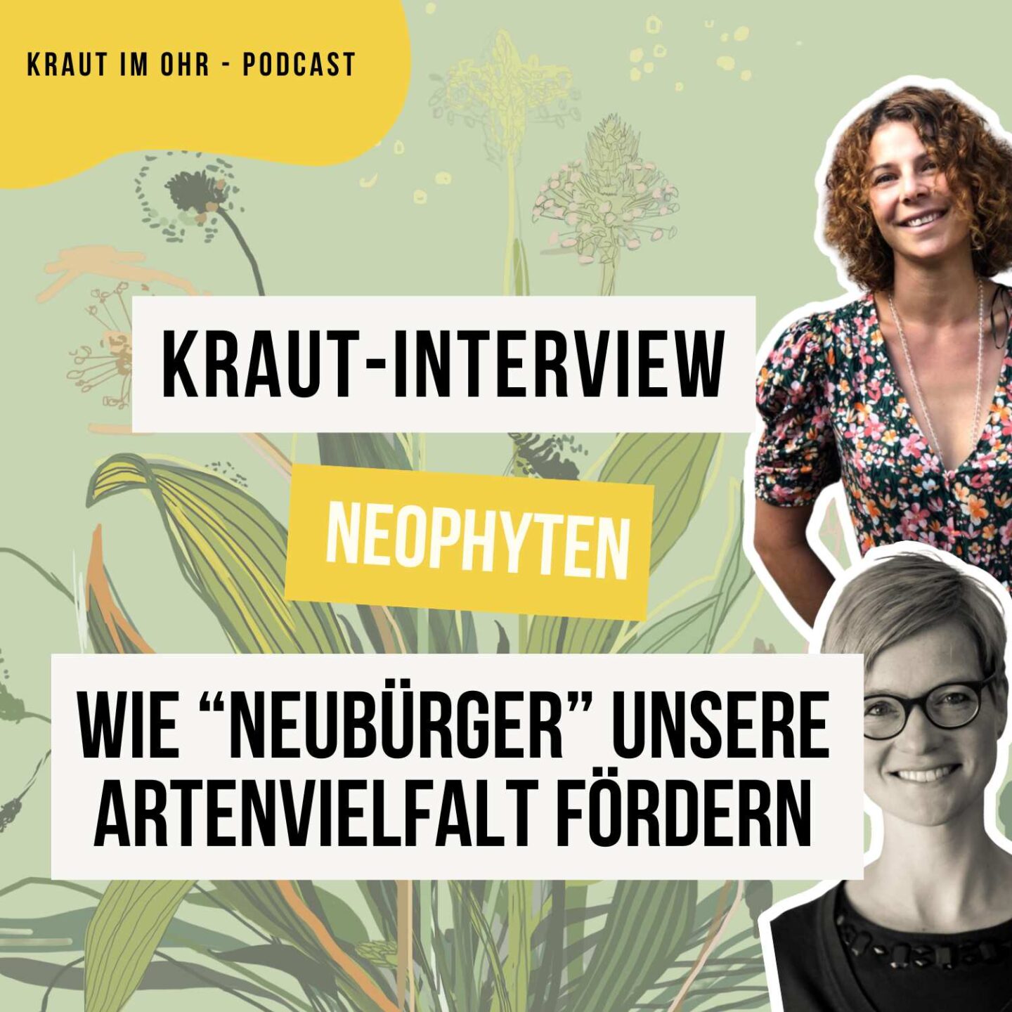 Kraut Interview: Neophyten - Pflanzen-Start-Ups mit Erfolgsgarantie