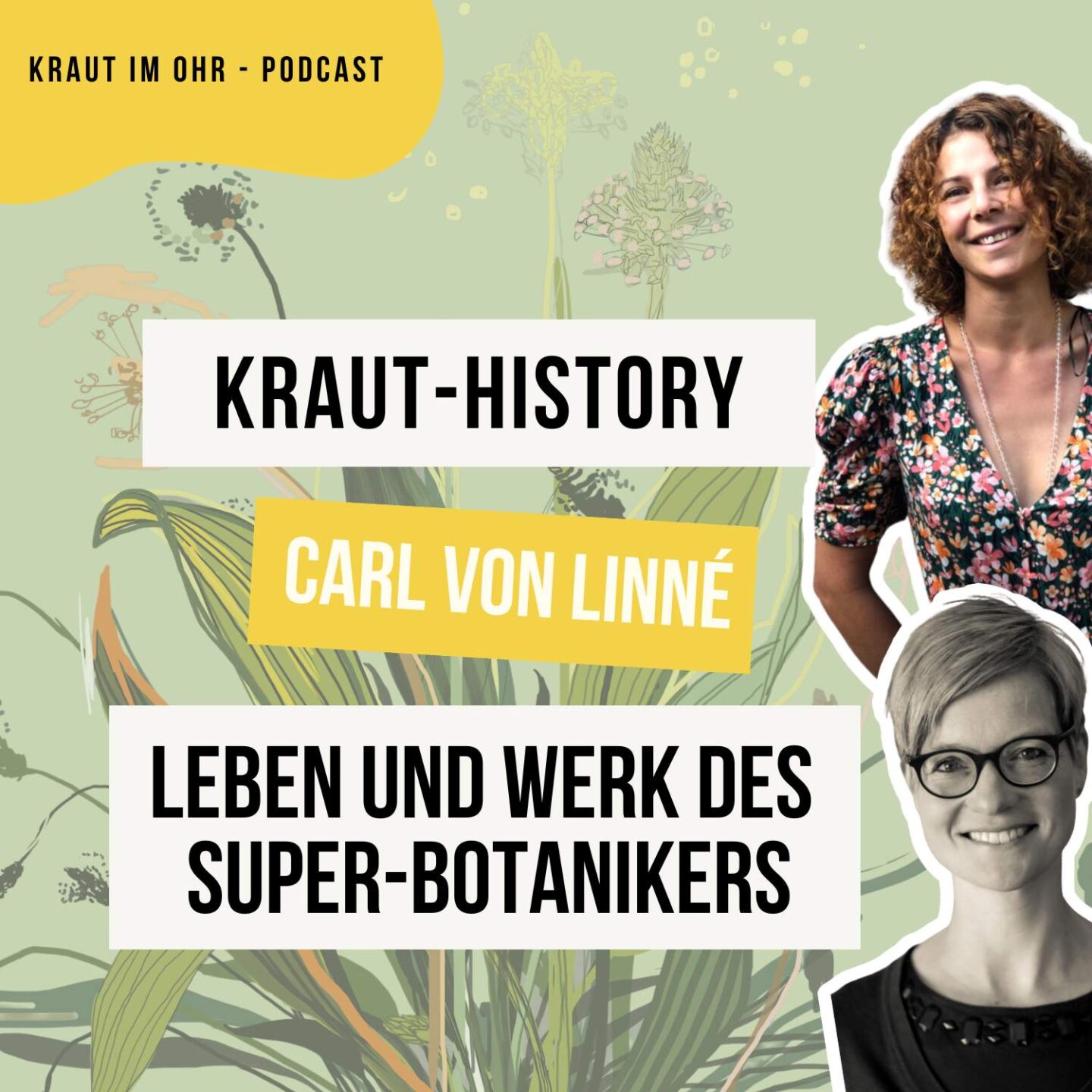 Carl von Linné - Leben und Werk des Super-Botanikers