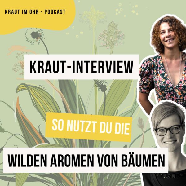 So nutzt du die wilden Aromen der Bäume