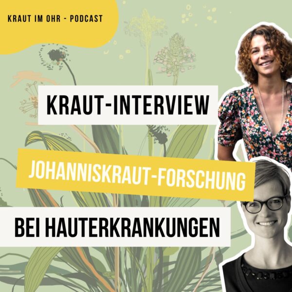 Ein Interview mit Prof. Dr. Ute Wölfle über die wissenschaftliche Erforschung von Johanniskraut bei Hautkrankheiten