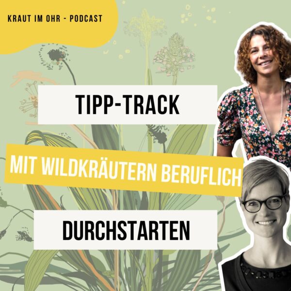 Mit Wildkräutern beruflich durchstarten – deine grüne Chance