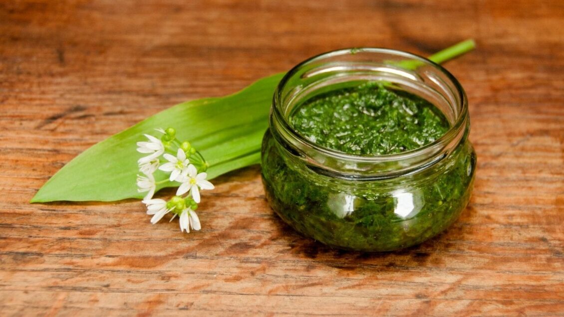 Blog Luna Herbs Wildkräuter_Bärlauch Pesto mit Pilzen und Giersch